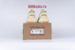 Adidas Yeezy Boost 350 V2 Butter - Image 4