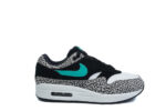 Atmos x Nike Air Max 1 Retro “Elephant” - Image 7