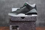 Air Jordan 3 Green Glow GREY WOLF