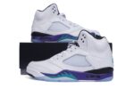 Jordan 5 Retro Grape (2013) - Image 3