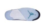 Jordan 5 Retro Grape (2013) - Image 7