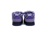 Nike SB Dunk Low Concepts Purple Lobster - Image 6