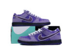 Nike SB Dunk Low Concepts Purple Lobster - Image 3