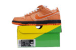 Nike SB Dunk Low Concepts Orange Lobster