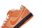 Nike SB Dunk Low Concepts Orange Lobster - Image 10