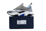 Dior B22 White Blue