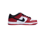 Nike SB Dunk Low J-Pack Chicago - Image 10