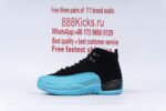 Jordan 12 Retro Gamma Blue - Image 5