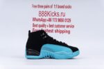 Jordan 12 Retro Gamma Blue - Image 15
