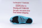 Jordan 12 Retro Gamma Blue - Image 9
