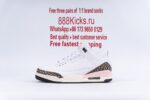Jordan 3 Retro Neapolitan Dark Mocha - Image 14