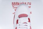 Jordan 4 Retro Alternate 89 - Image 27