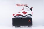 Jordan 6 Retro Carmine 2021
