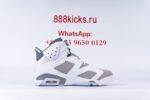 Jordan 6 Retro Cool Grey - Image 6