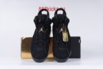 Jordan 6 Retro DMP 2020 - Image 3