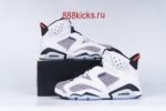 Jordan 6 Retro Flight Nostalgia - Image 2