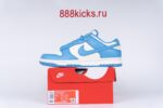 Nike Dunk Low Coast (W)