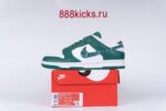 Nike Dunk Low Essential Paisley Pack Green (W)