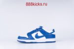 Nike Dunk Low SP Kentucky 2020 - Image 14