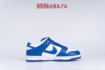 Nike Dunk Low SP Kentucky 2020 - Image 15