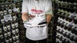 Jordan 3 Retro White Cement Reimagined - Image 32